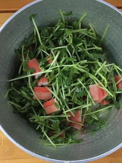 豆苗サラダ-レシピのメイン写真
