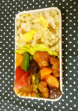 お弁当 2021.5.14-レシピのメイン写真