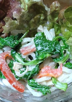 ご飯メモ♪カラシ菜のサラダ-レシピのメイン写真