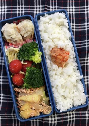 20210514マイ弁当-レシピのメイン写真