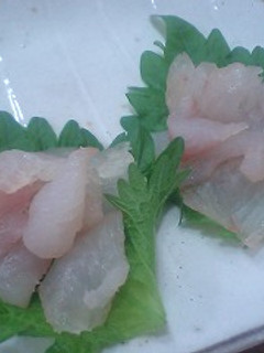 アイナメの昆布〆-レシピのメイン写真