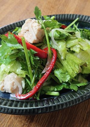 鶏肉の塩ドレッシングサラダ-レシピのメイン写真