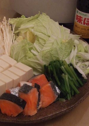 野菜たっぷりお豆腐鍋-レシピのメイン写真
