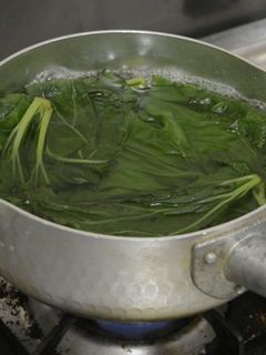 ふきの葉 基本の下ごしらえ-レシピのメイン写真