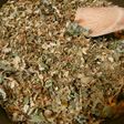 食品乾燥機で作る…「ドクダミ茶」