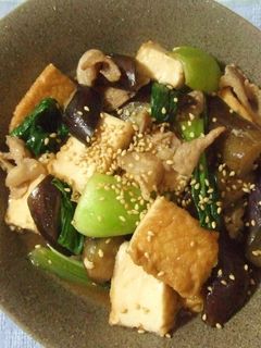 ナスとチンゲン菜と厚揚げの炒め物-レシピのメイン写真