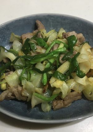 豚ニラキャベツの炒め物-レシピのメイン写真