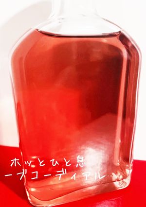 ホッとひと息〜ハーブコーディアル〜-レシピのメイン写真