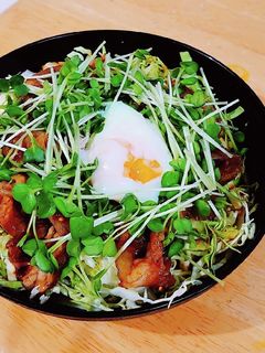 キャベツがメイン☆豚の生姜焼き丼-レシピのメイン写真