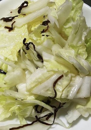 おつまみ白菜〜白菜消費〜-レシピのメイン写真