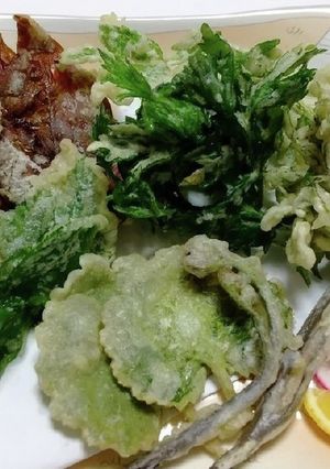 春の野草・山菜の天ぷら-レシピのメイン写真