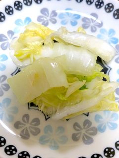 簡単な白菜浅漬け-レシピのメイン写真