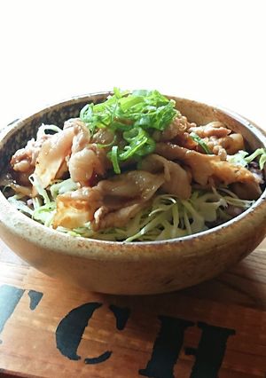 おひとり様★しょうが焼き丼-レシピのメイン写真