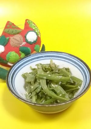 山うどのきんぴら-レシピのメイン写真