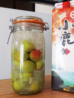 梅酒-レシピのメイン写真