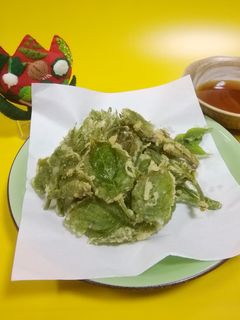 山うどの天ぷら-レシピのメイン写真
