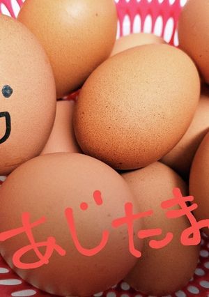 めんつゆで味卵-レシピのメイン写真