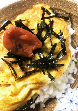 キムチ納豆オムレツ梅干しトッピング丼-レシピのメイン写真