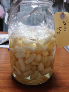 らっきょうの甘酢漬け-レシピのメイン写真