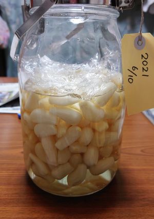 らっきょうの甘酢漬け-レシピのメイン写真
