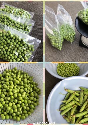 2021 えんどう豆冷凍保存-レシピのメイン写真