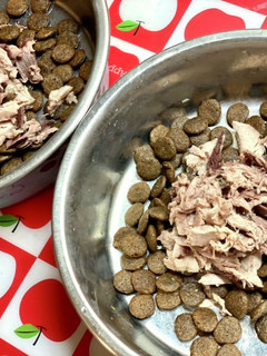 老犬のご褒美ご飯 マグロフレークふりかけ-レシピのメイン写真