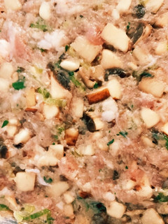 海外在住者の為の肉ダネ(餃子や肉まん用)-レシピのメイン写真