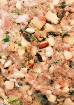 海外在住者の為の肉ダネ(餃子や肉まん用)-レシピのメイン写真