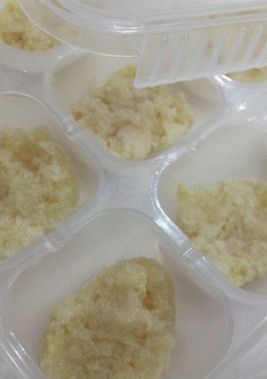 下ろし生姜の冷凍保存-レシピのメイン写真