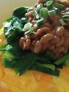 オムにら納豆ご飯-レシピのメイン写真