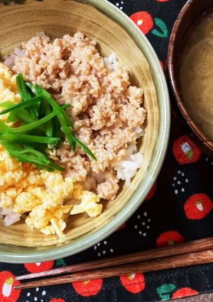 ウチの〜鶏そぼろ-レシピのメイン写真