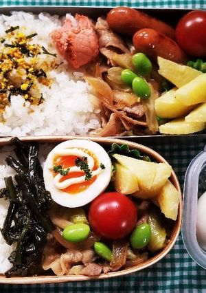 豚肉炒め弁当(5.17)-レシピのメイン写真