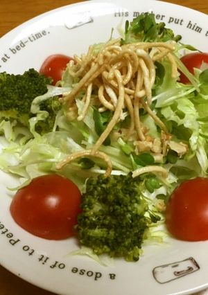 栄養◎パリパリ揚げ麺の野菜サラダ-レシピのメイン写真