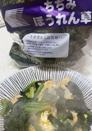 ちぢみほうれん草バター卵炒め-レシピのメイン写真