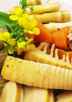 お年寄り絶賛シリーズ☆竹の子、フキ煮込み-レシピのメイン写真