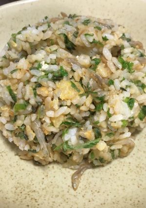 春限定☆コシアブラとちりめんの炒飯-レシピのメイン写真