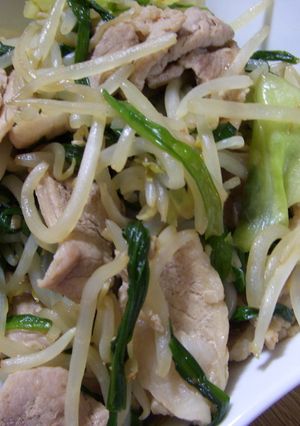 中華風・肉入り野菜炒め-レシピのメイン写真