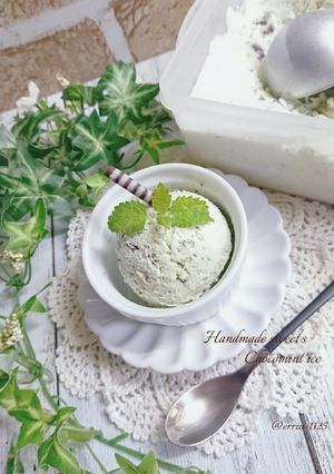おうちで簡単チョコミントアイス-レシピのメイン写真