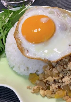 油不使用!ヘルシーガパオライス-レシピのメイン写真