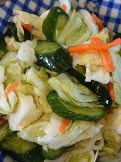 キャベツとキュウリのしょうが入り浅漬け-レシピのメイン写真