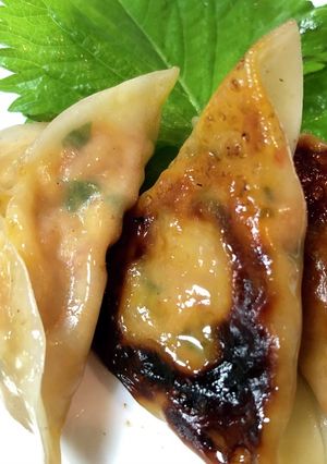 ツナマヨキムチ餃子★青じそでさっぱり-レシピのメイン写真