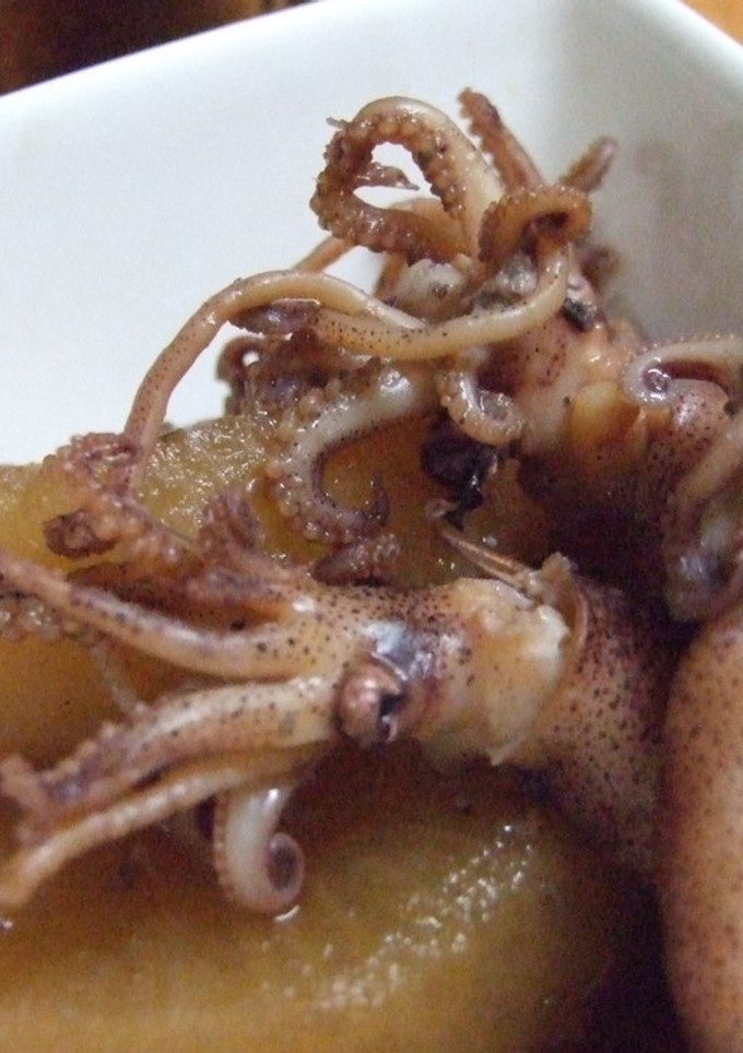 豆イカで～大根とイカの煮物-レシピのメイン写真