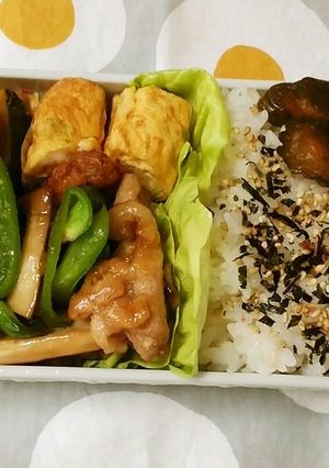 お弁当 2021.5.19-レシピのメイン写真