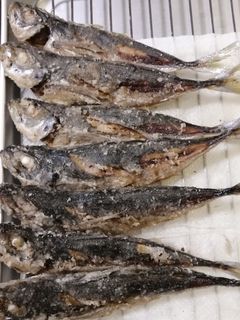 ★骨までしっかり★鯵の唐揚げ-レシピのメイン写真