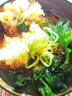 かき揚げ蕎麦-レシピのメイン写真