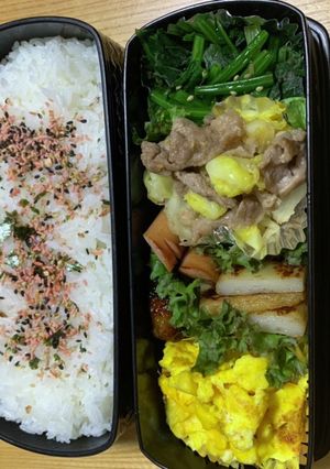 今日のお弁当　5.20 豚肉とキャベツ-レシピのメイン写真