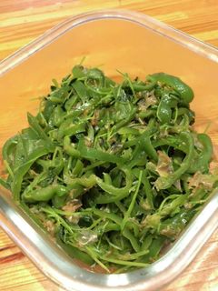 常備菜★ピーマンと豆苗のおかか和え-レシピのメイン写真