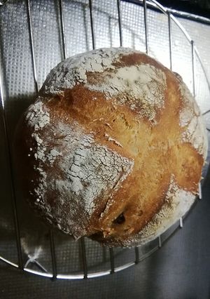 自家製酵母レーズンカンパーニュ風-レシピのメイン写真