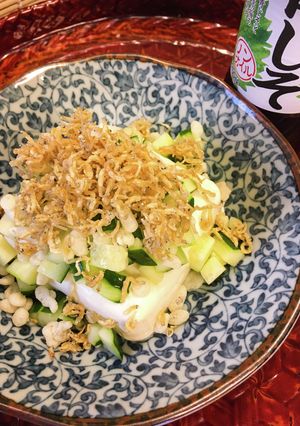 アゲ⤴アゲ⤴じゃこ♪じゃこ♪☆冷ややっこ-レシピのメイン写真