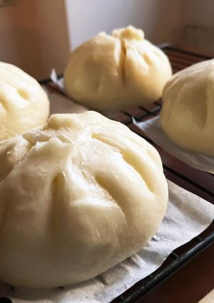 簡単ほかほか肉まん〜ホームベーカリーで-レシピのメイン写真
